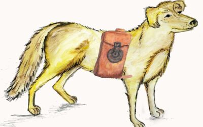 Station Jim